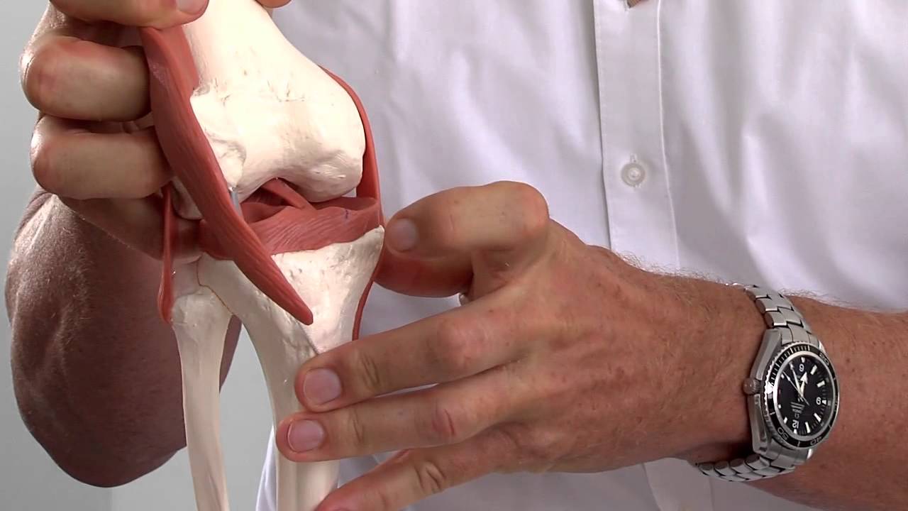 Knie Arthrose Diagnose Beschwerden
