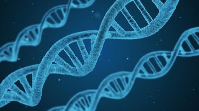 Kein Zweittumor nach Brachytherapie